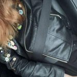 OnlyFans – Perky Deeze / @deezefreeze - Page 7 image 111