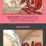 What Is Squirt And Is Yellow Squirt Pee?
